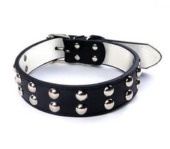 Collier en cuir martelé avec boutons ronds pour les gros chiens avec fermeture