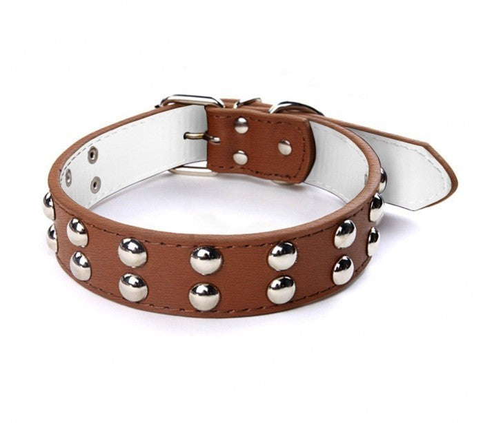 Collier en cuir martelé avec boutons ronds pour les gros chiens avec fermeture