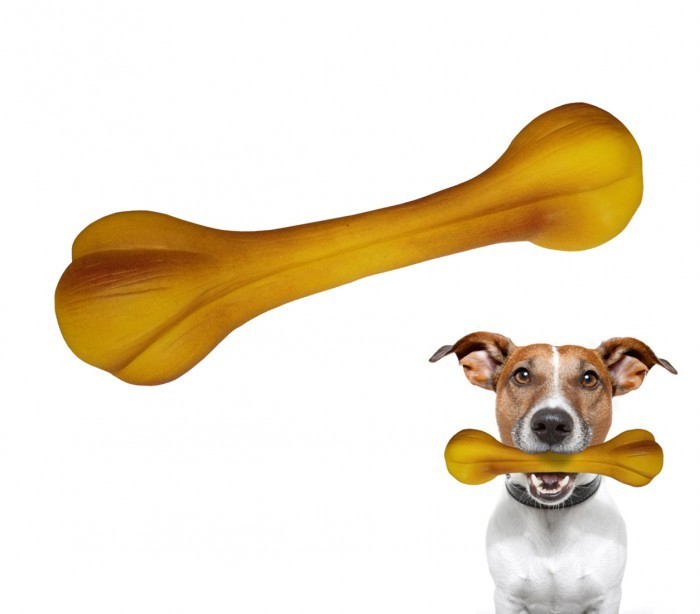 Jeu en caoutchouc souple pour chiens et chats - plusieurs motif