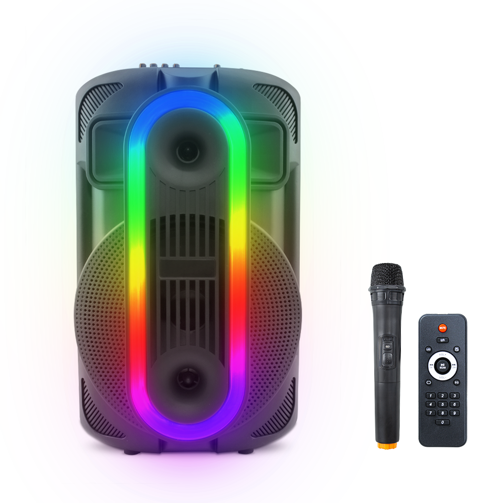 Haut-parleur Bluetooth portable caisson de basses Aux TF USB Radio FM microphone
