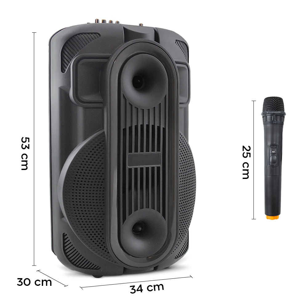 Haut-parleur Bluetooth portable caisson de basses Aux TF USB Radio FM microphone