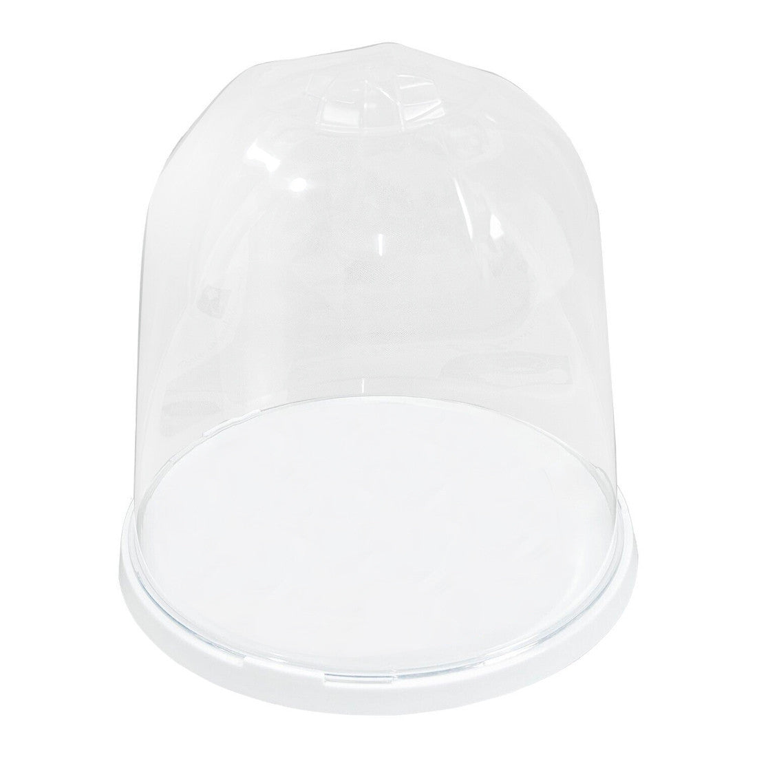Porte-Panettone Forme de Cloche en Plastique avec Couvercle Transparent Plateau