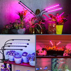 Lampe LED Culture pour Plantes Éclairage Intérieur 4 Bandes LED Alimentation USB