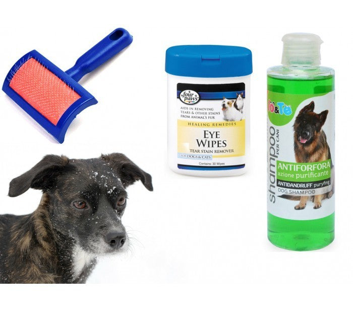 Kit de nettoyage complet pour chien – Shampooing + Lingettes + Brosse démêlante