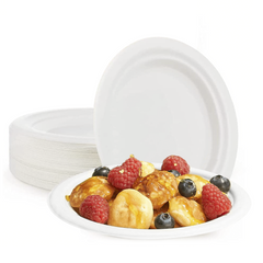 Pack de 200 assiettes en carton de 23 cm jetables, biodégradables et écologiques