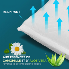 Oreiller en Memory Foam Cervical Fresco Respiro avec Essence d'Aloe Vera