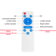 Plafonnier LED 200W 8000mAh IP54 avec Panneau Solaire 6V et Télécommande