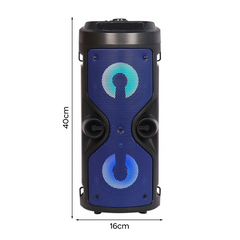 Haut-parleur Bluetooth avec microphone karaoké et lumière LED, portable