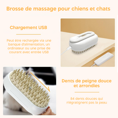Brosse de Massage Électrique à Vapeur sans Fil Rechargeable pour Chiens et Chats