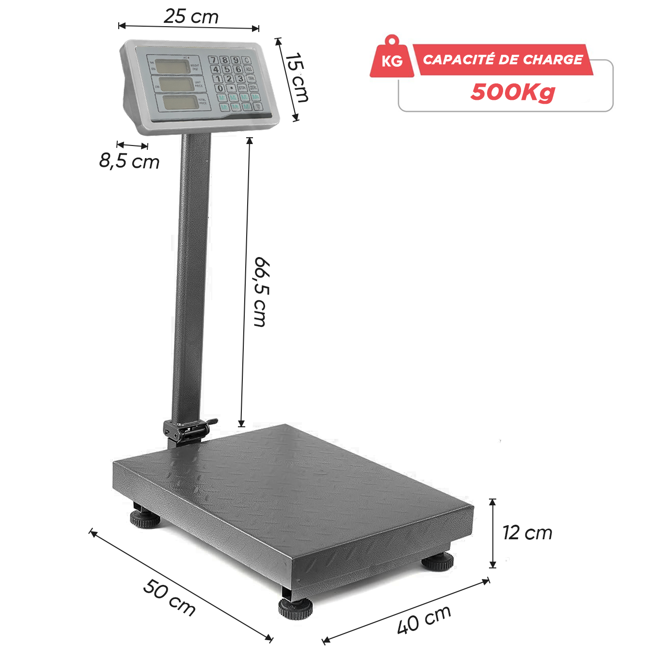 Balance industrielle 500kg professionnelle à haute précision avec écran LED