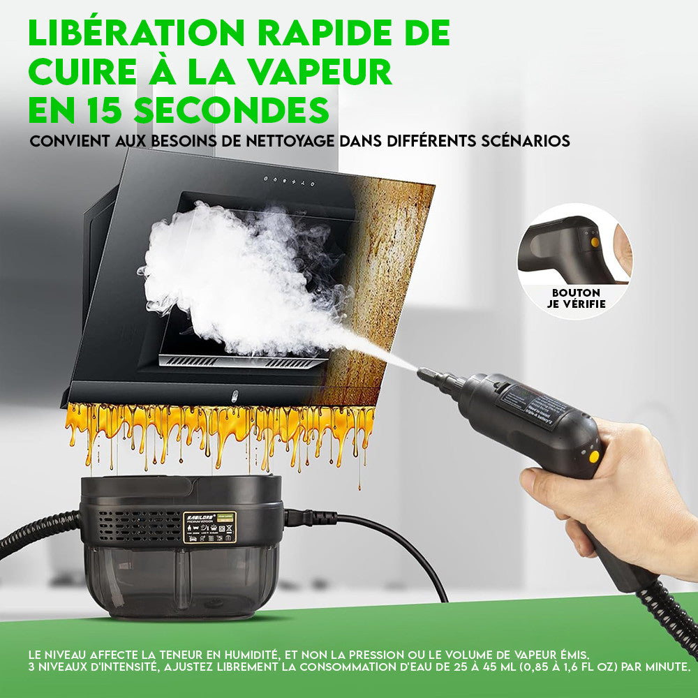 Nettoyeur à Vapeur Portable 1600ml Haute Pression Pour Maison et Voiture