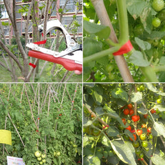 Pince Liante Manuelle à Bande pour Plantes, Attacheuse de Jardinage et Vignobles
