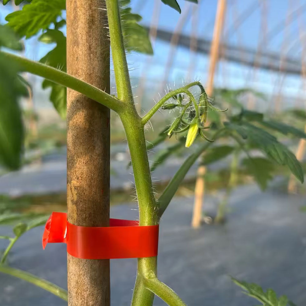 Pince Liante Manuelle à Bande pour Plantes, Attacheuse de Jardinage et Vignobles