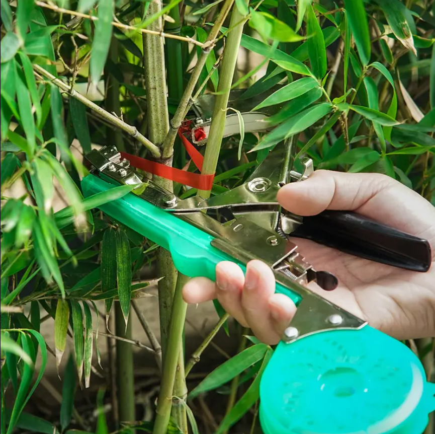 Pince Liante Manuelle à Bande pour Plantes, Attacheuse de Jardinage et Vignobles