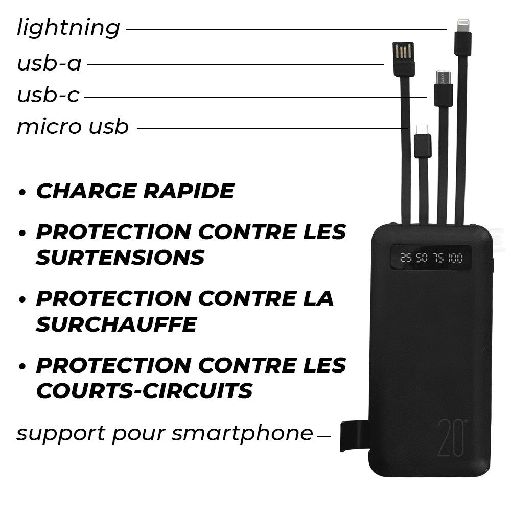 Power Bank 20000mAh Chargeur Rapide Portable avec 4 Câbles USB Inclus