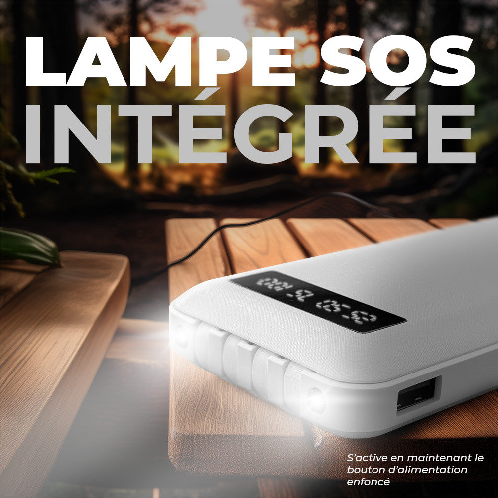 Power Bank 20000mAh Chargeur Rapide Portable avec 4 Câbles USB Inclus