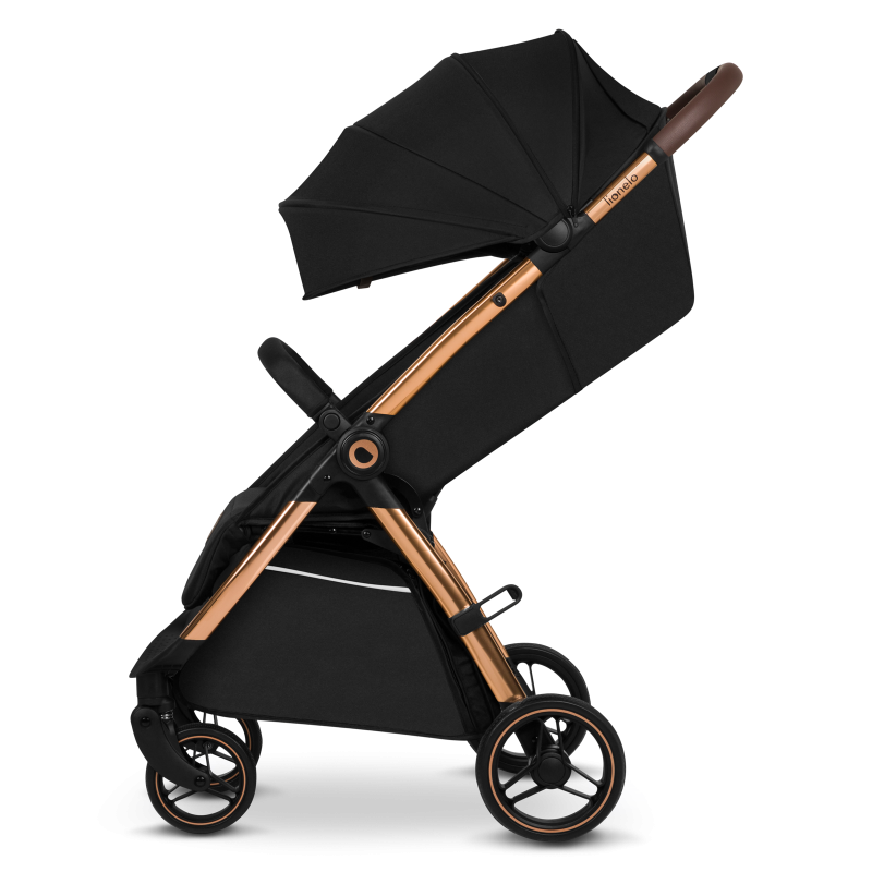 Poussette LIONELO INGRID 6-48 mois Pliable Dossier et repose-pieds réglables