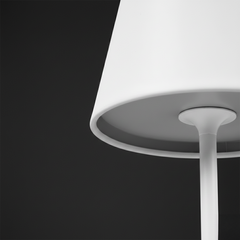 Lampe LED de table 36 cm rechargeable Touch 2W Lumière réglable 3000K-6000K USB