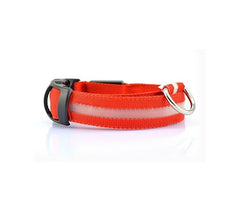Collier réglable LED pour chiens et chats différentes tailles et couleurs