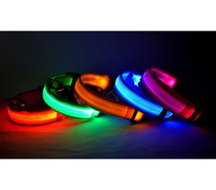 Collier réglable LED pour chiens et chats différentes tailles et couleurs