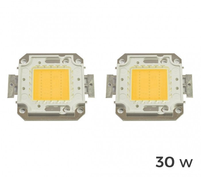 Pack de 2 plaques de LED de rechange 10-20-30-50 ou 100 watt - 10 W