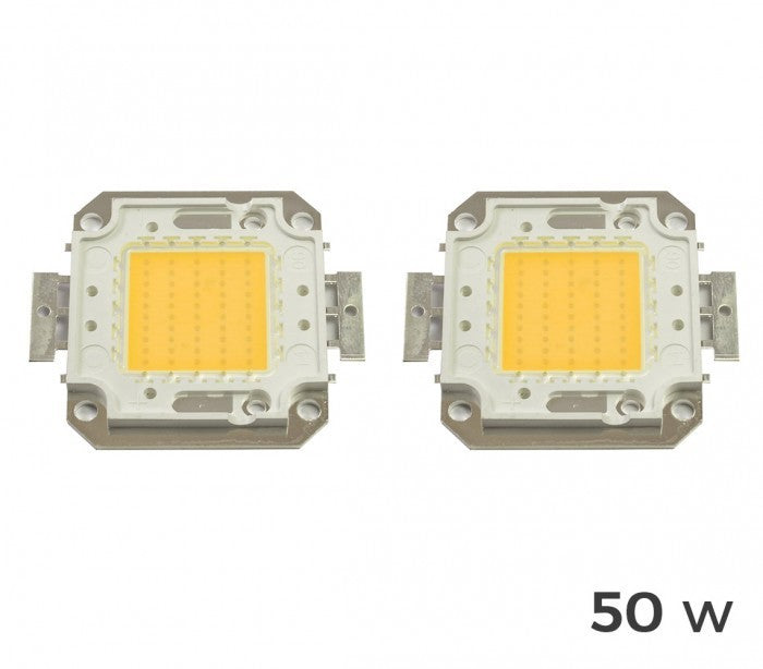 Pack de 2 plaques de LED de rechange 10-20-30-50 ou 100 watt